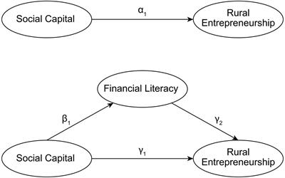 Social Capital, Financial Literacy, and Rural Household Entrepreneurship: A Mediating Effect Analysis